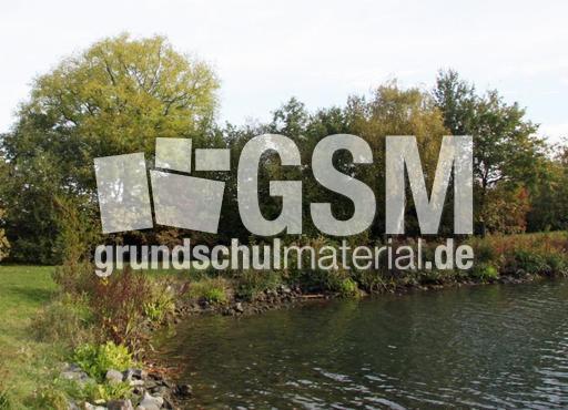 Herbststimmung-10-09 001.jpg